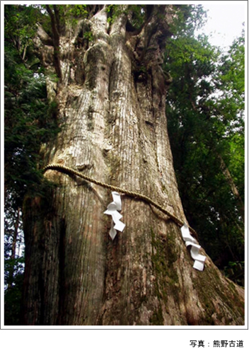 熊野古道